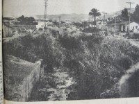 /album/fotogaleria/dsc04785-jpg/