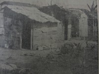 /album/fotogaleria/dsc09129-jpg/