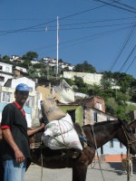 /album/fotogaleria/dsc00221-jpg/