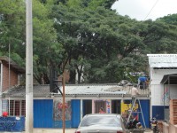 /album/fotogaleria/dsc02316-jpg/